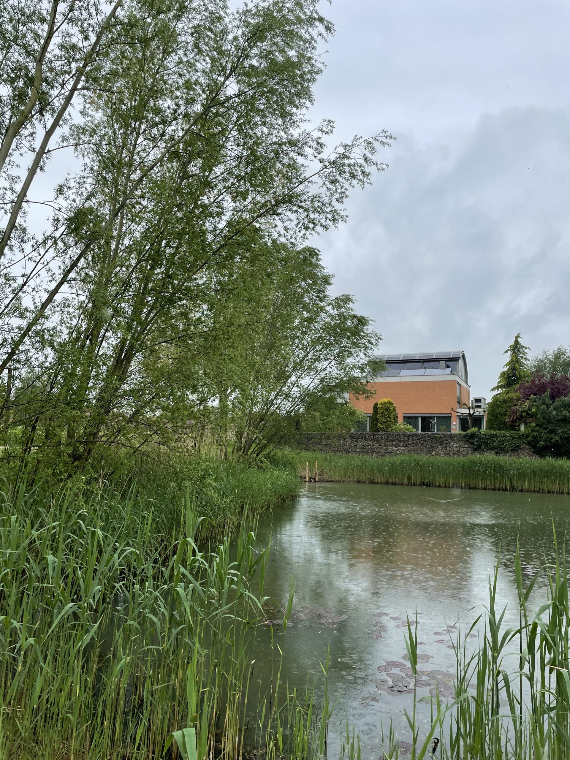 B&B aan het water in de woonwijk